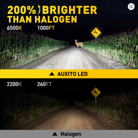 Ampolletas LED H1 AUXITO – 6000K | Blanco Ultra